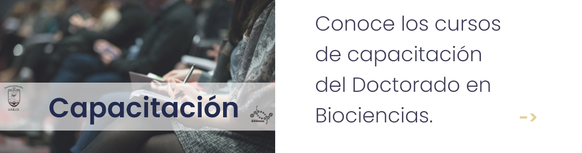 Capacitación