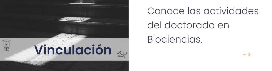 Vinculación